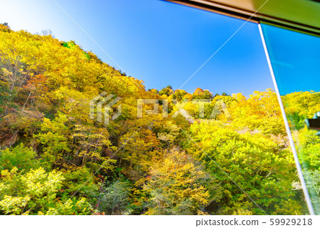Scenery from the Kamikochi shuttle bus [Nagano Prefecture] 59929218