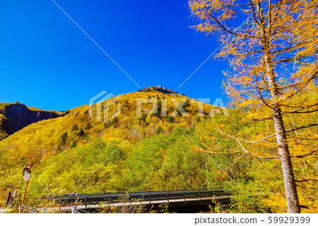 Scenery from the Kamikochi shuttle bus [Nagano Prefecture] 59929399