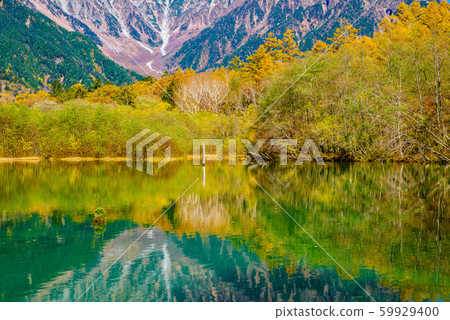 Autumn leaves of Kamikochi, Taisho Pond [Nagano Prefecture] 59929400