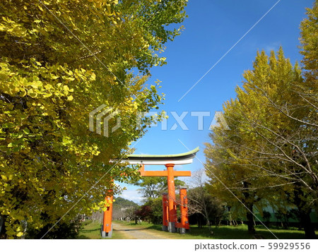 薩摩小國一宮新田神社（薩摩川內市） 59929556