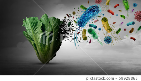 Vegetable Bacteria Danger Vegetable Bacteria Danger 59929863
