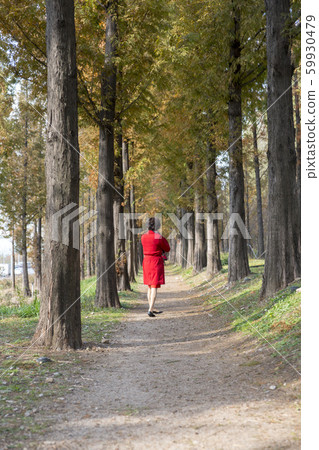 Metasche Choir, Mapo-gu, Seoul Metasche Choir, Mapo-gu, Seoul 59930479