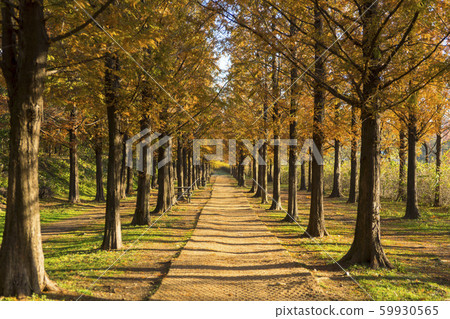 Metasche Choir, Mapo-gu, Seoul Metasche Choir, Mapo-gu, Seoul 59930565