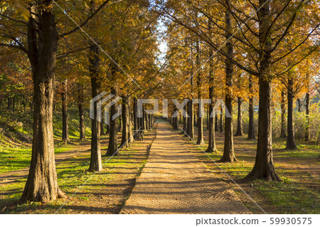 Metasche Choir, Mapo-gu, Seoul Metasche Choir, Mapo-gu, Seoul 59930575