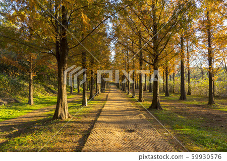 Metasche Choir, Mapo-gu, Seoul 59930576