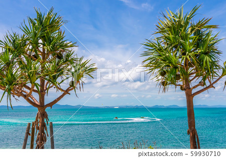 The sea of Okinawa 59930710