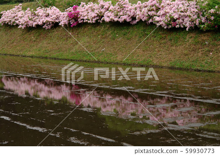 Tottori Four Seasons Walk Spring Sajiya 59930773