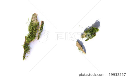 Bark and moss Bark and moss 59932237