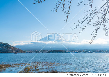 Mountain Fuji San at  Kawaguchiko Lake. 59933541