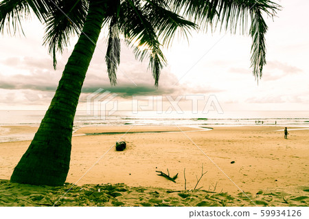 coconut tree with tropical beach coconut tree with tropical beach 59934126