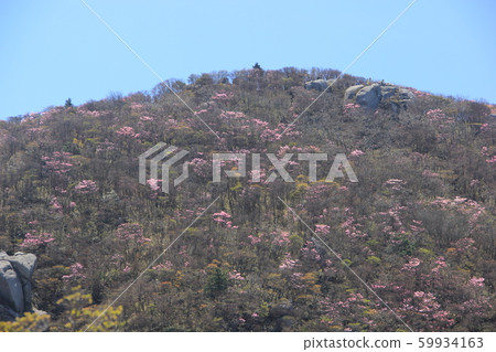 Mount Kunimi Mount Kunimi 59934163