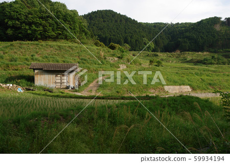 四個季節春季春季 59934194