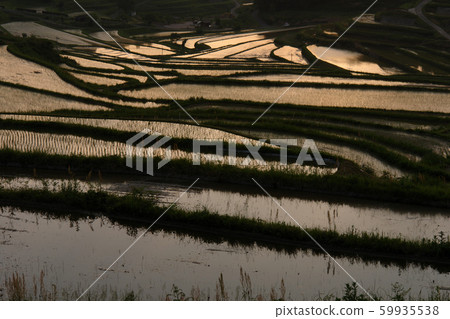 四個季節春季春季 四個季節春季春季 59935538