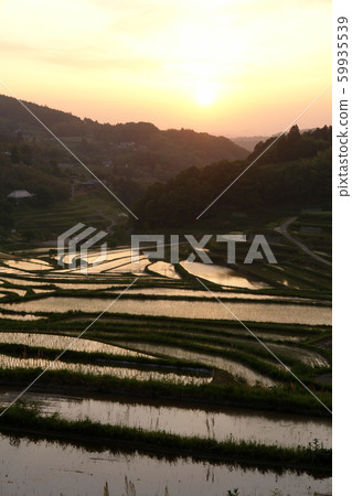 四個季節春季春季 59935539