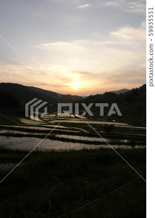 四個季節春季春季 四個季節春季春季 59935551