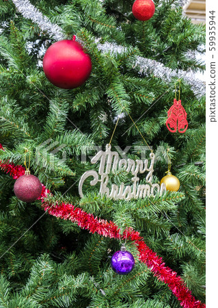 聖誕樹 59935944