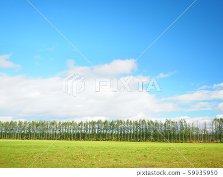 Hokkaido scenery Tokachi Hokkaido scenery Tokachi 59935950