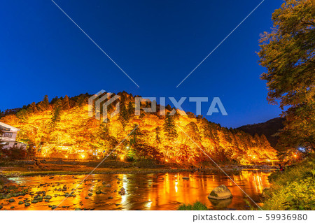 Korankei Autumn leaves light up [Aichi Prefecture] 59936980