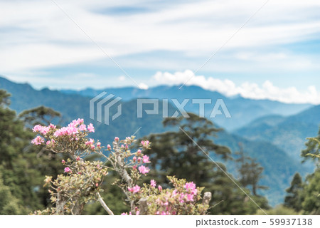 台灣的高山 59937138