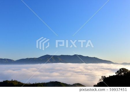 Sea of clouds in the Kameoka basin 59937451