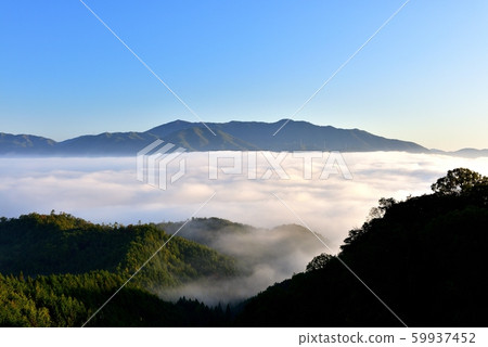 Sea of clouds in the Kameoka basin 59937452