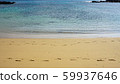 沙灘上殘留的足跡/ ami美大島 59937646