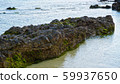 透明的岩石海/ Am美大島 59937650