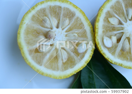 Chopped eggplant Chopped eggplant 59937902