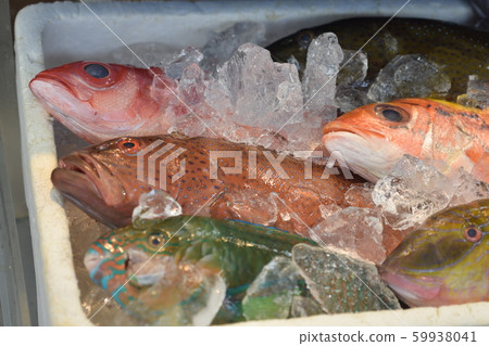 沖繩魚市場 沖繩魚市場 59938041