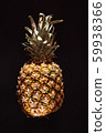 pineapple on the black background 59938366