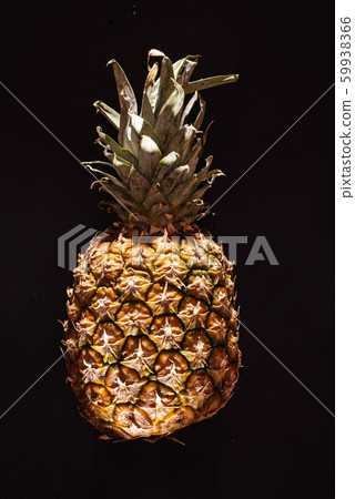 pineapple on the black background 59938366