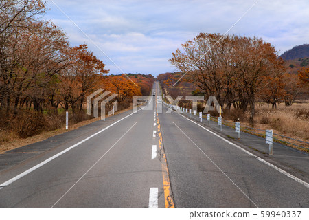 Autumn Harunasan Melody Line and Numahara 2019.11 c 59940337