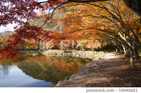 獨山川百秋寺 59940881