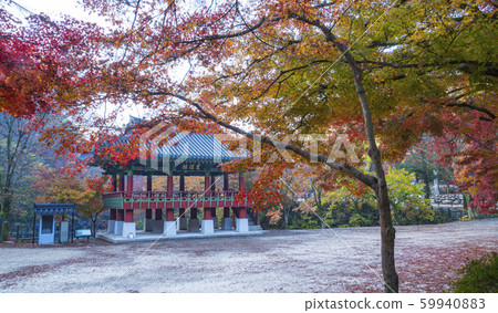Autumn scenery of baekyangsa sanggye 59940883