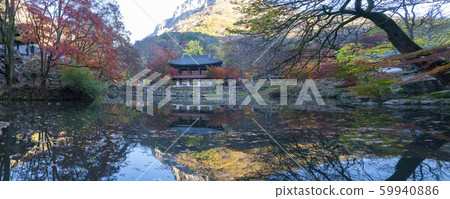 Autumn scenery of baekyangsa sanggye 59940886