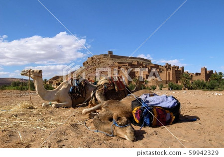 Ait Ben Haddou 59942329