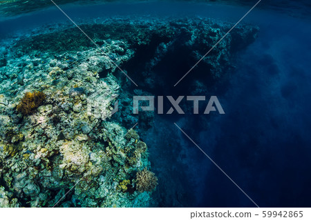 Underwater rocks with coral and fish in blue transparent ocean. National park Menjangan island, Bali 59942865