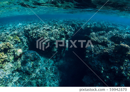 Underwater rocks with coral and fish in blue transparent ocean. National park Menjangan island, Bali 59942870