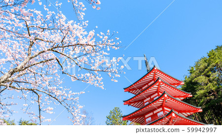新村山淺間公園的風景（春季）：中立堂 59942997