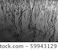 Abstract dead wood over water 59943129