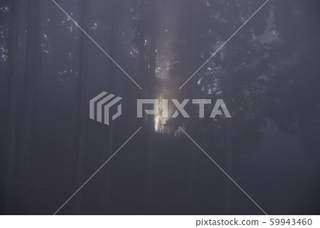 Images of sunlight leakage day Images of sunlight leakage day 59943460