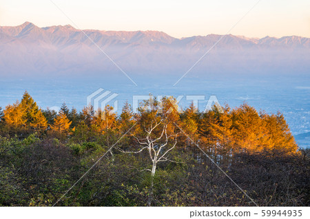 《Nagano Prefecture》High Bocchi Plateau/Observation 《View of Matsumoto City》 59944935