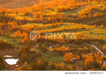 《群馬縣》澀谷的到來,滋賀高原 《群馬縣》澀谷的到來,滋賀高原 59945427