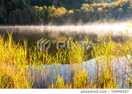 《長野縣》秋天的木戶池塘,秋天的滋賀高原 《長野縣》秋天的木戶池塘,秋天的滋賀高原 59946487