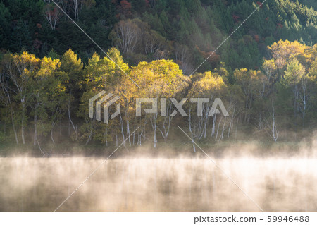 《長野縣》秋天的木戶池塘，秋天的滋賀高原 59946488