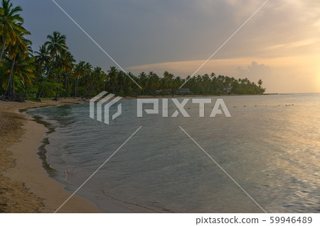 Beautiful Bahia Principe beach at sunset Beautiful Bahia Principe beach at sunset 59946489