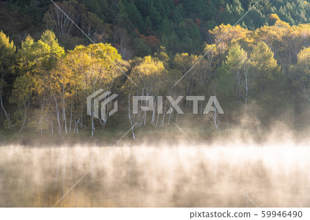 《長野縣》秋天的木戶池塘，秋天的滋賀高原 59946490