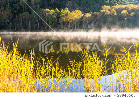 《長野縣》秋天的木戶池塘，秋天的滋賀高原 59946505