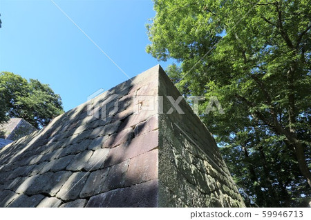 Murakami castle 59946713