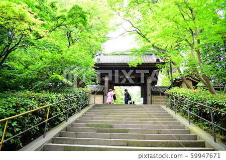 Enkakuji Gate 59947671